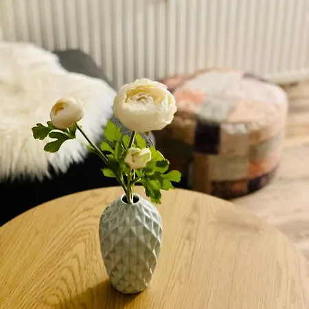 Auersbergblick アパート シェーンハイデ